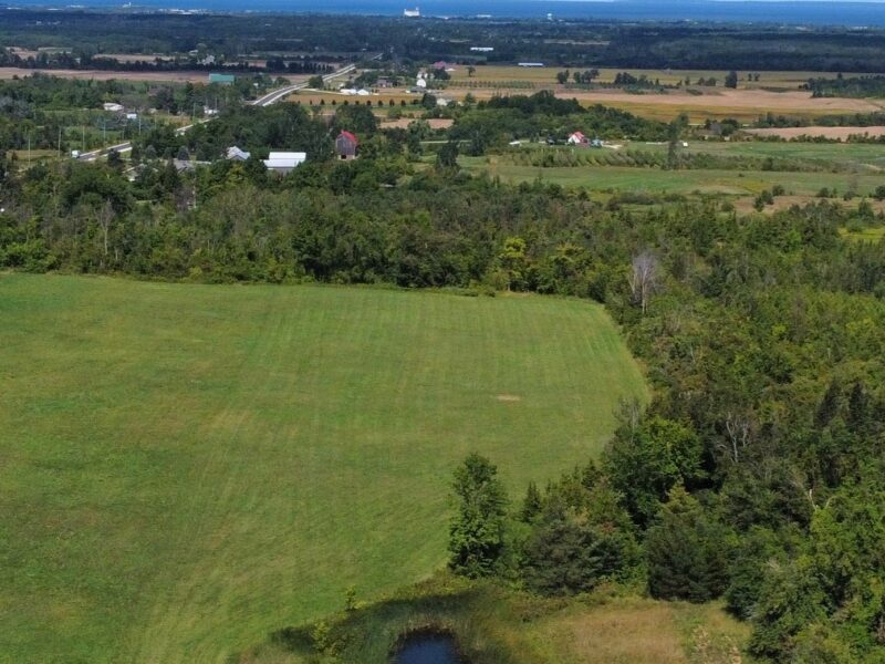 For Sale: 12 Sydenham Trail, Clearview, ON L0M 1H0, Clearview, ON