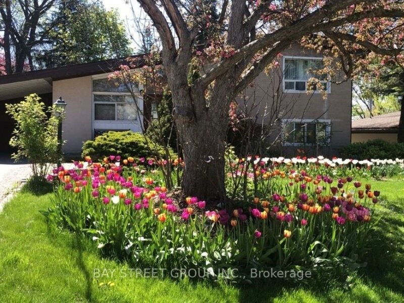 For Lease: 5 Cottonwood Drive, Toronto C13, ON M3C 2B3, Toronto C13, ON