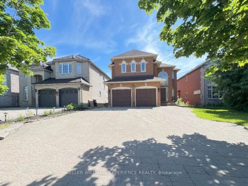 For Lease: 44 Alpine Crescent BSMT, Richmond Hill, ON L4S 1W4, Richmond Hill, ON