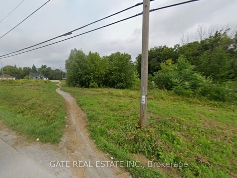 For Sale: 263 The Queensway South N/A S, Georgina, ON L4P 3C8, Georgina, ON